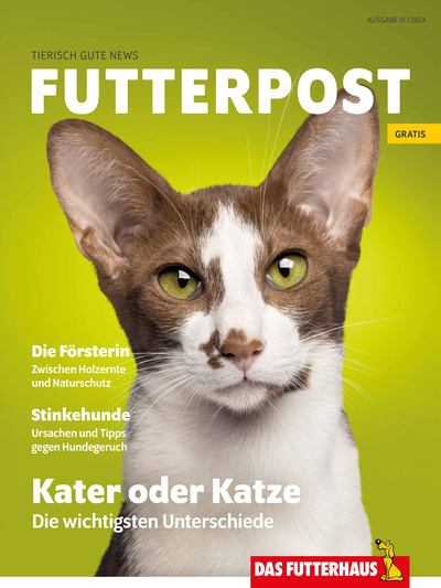 FUTTERPOST Catalog preview