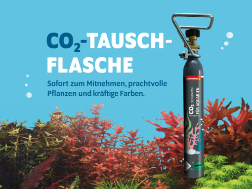 DAS FUTTERHAUS-Service CO2-Tauschflaschen