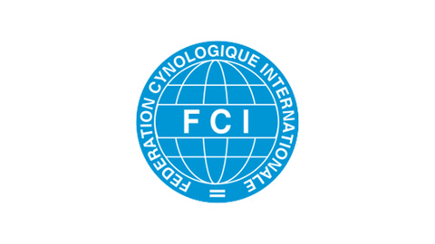 Die FCI-Gruppen