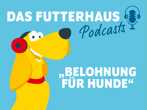 DAS FUTTERHAUS Podcast Belohnung für Hunde
