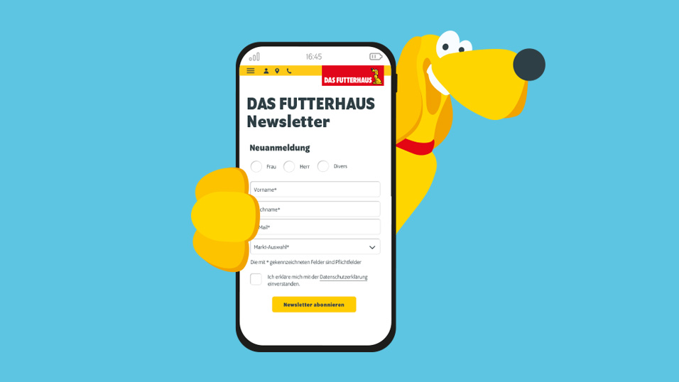DAS FUTTERHAUS-Newsletter
