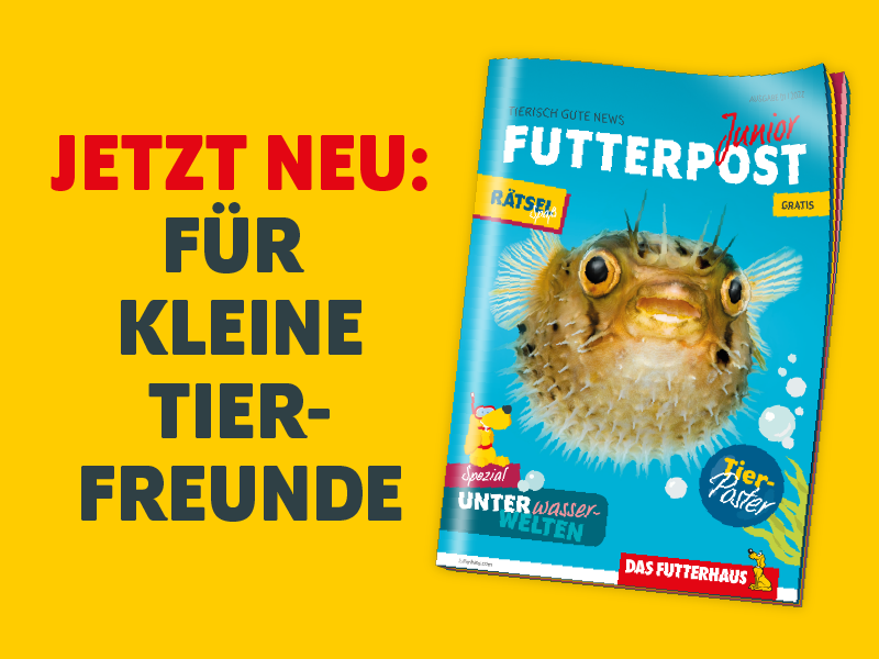 DAS FUTTERHAUS Kindermagazin FUTTERPOST Junior