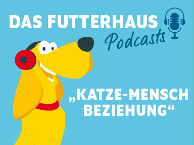 Podcast zum Weltkatzentag