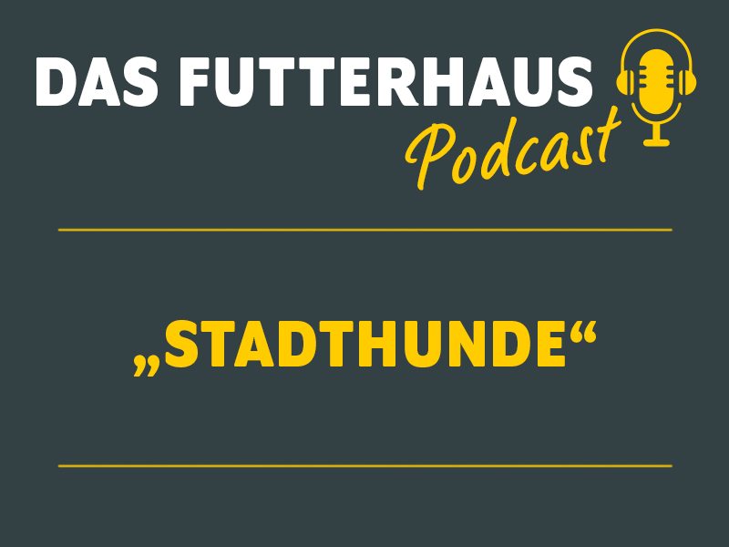 DAS FUTTERHAUS Podcast Stadthunde