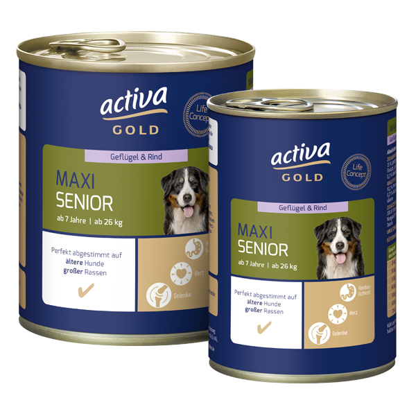 Activa Gold Hund Nassnahrung Maxi Senior Geflügel Rind