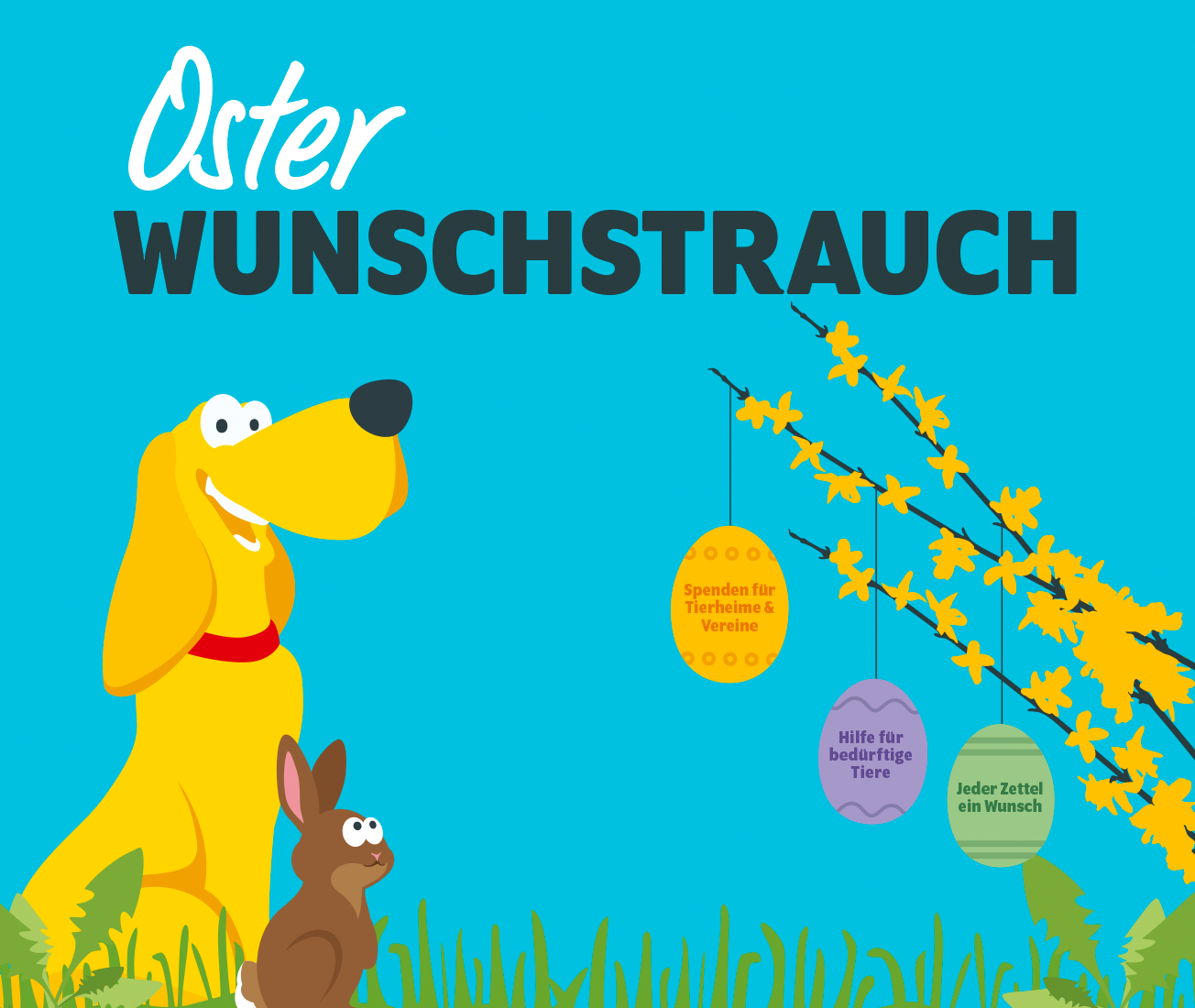 Tierische Spendenaktion vom 2.3. - 4.4.2026