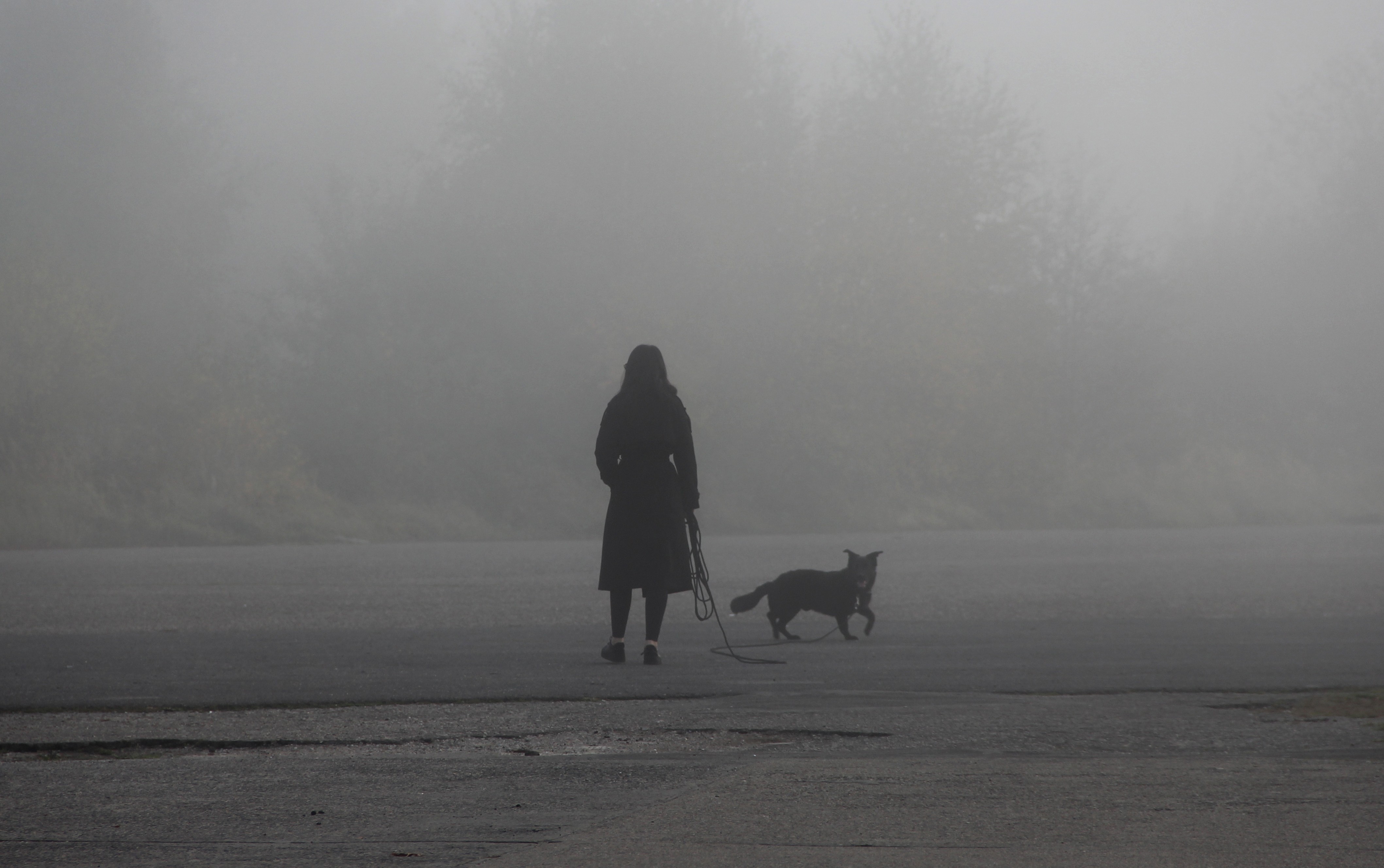 Frau in einem langen Mantel von hinten, die mit ihrem Hund auf einer Leine durch eine neblige, leere Fläche geht.