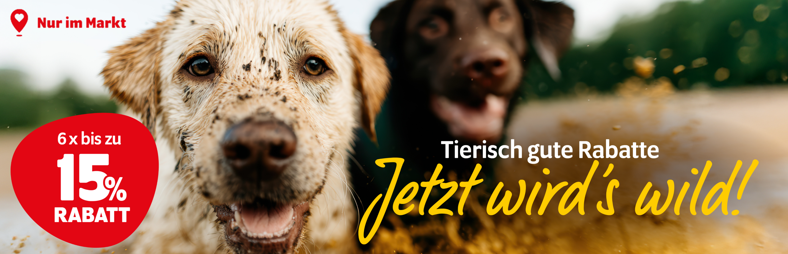 Jetzt wird's wild: Tierisch gute Rabatte nur im Markt mit 6x bis zu 15% Rabatt