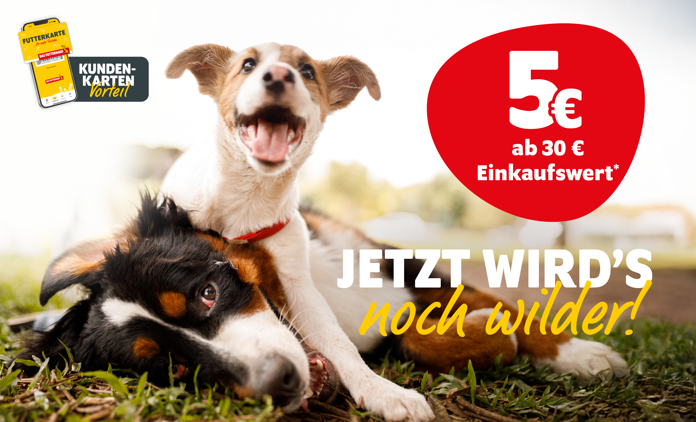 FUTTERKARTEN-Vorteil: 5€ Rabatt ab 30€ Einkaufswert