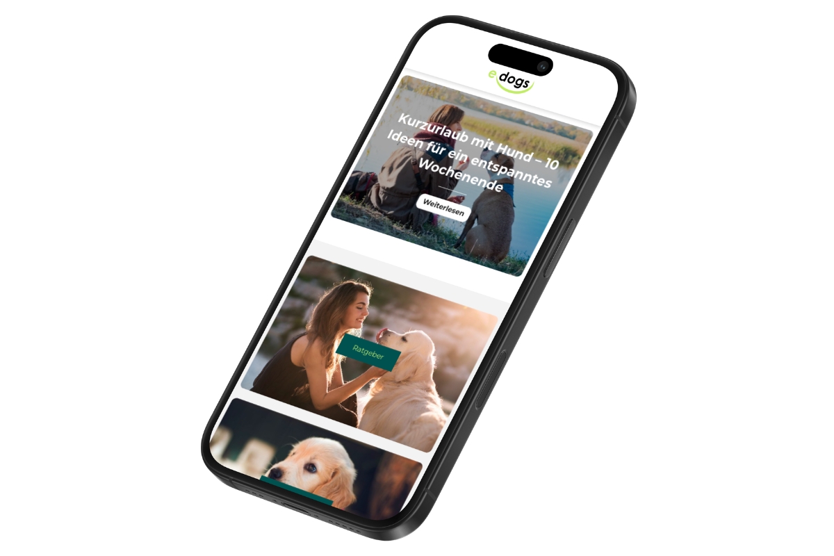 Ein Handy zeigt die edogs-Website auf dem Display mit dem Ratgeberbereich sichtbar.