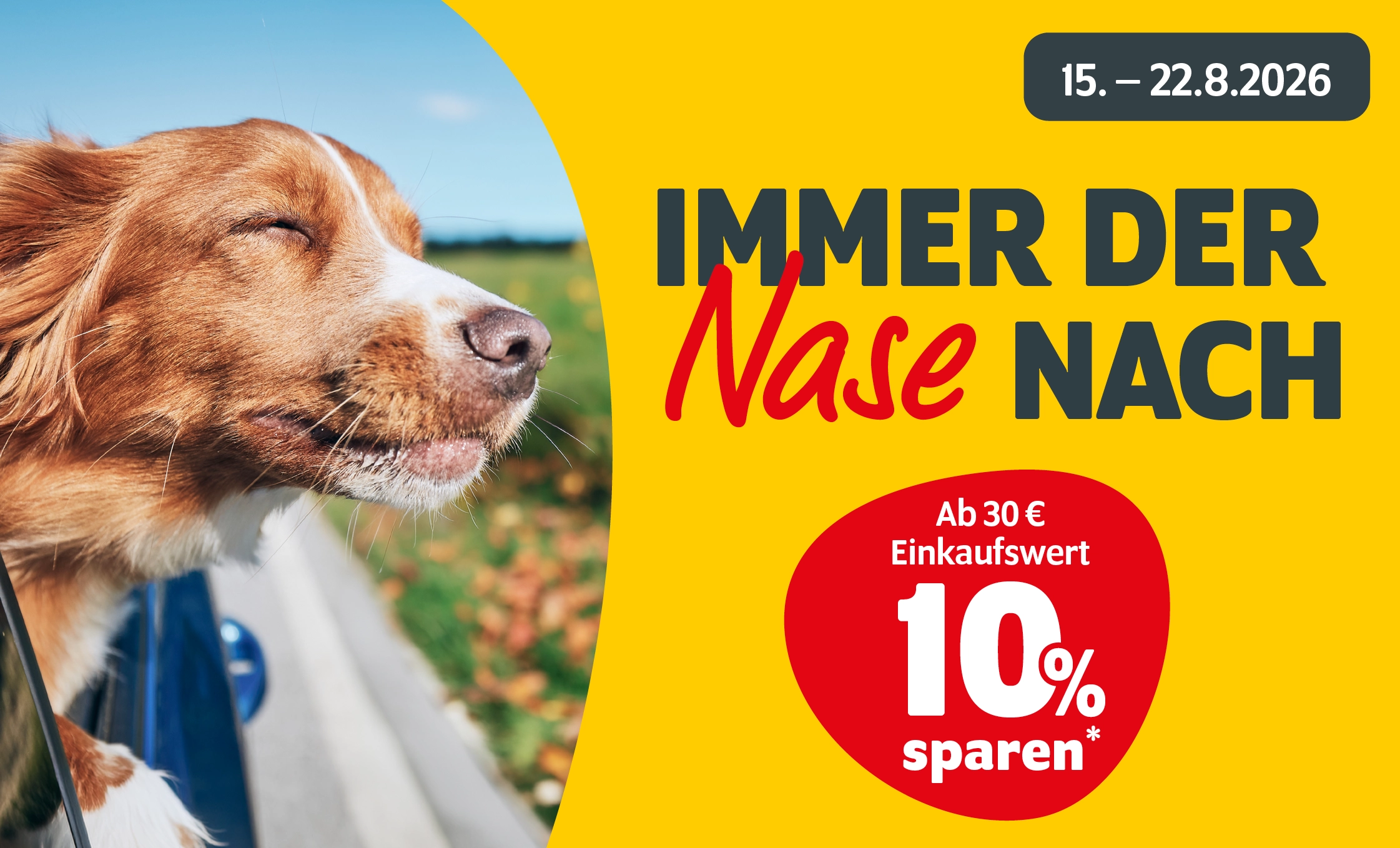 Markt-Coupon in der App: 10% ab 30€ vom 15. bis 22.8.2026