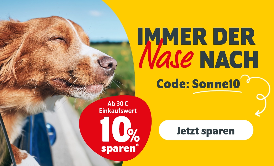 Immer der Nase nach: 10 % ab 30€ mit dem Code Sonne10 - Jetzt sparen