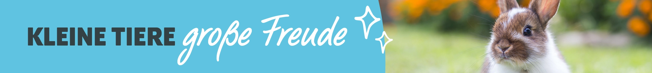 Kleine Tiere - große Freude