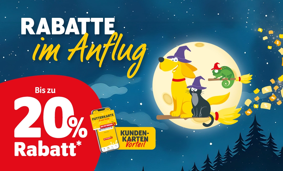 Kundenkarten-Vorteil: Rabatte im Anflug mit bis zu 20% Rabatt