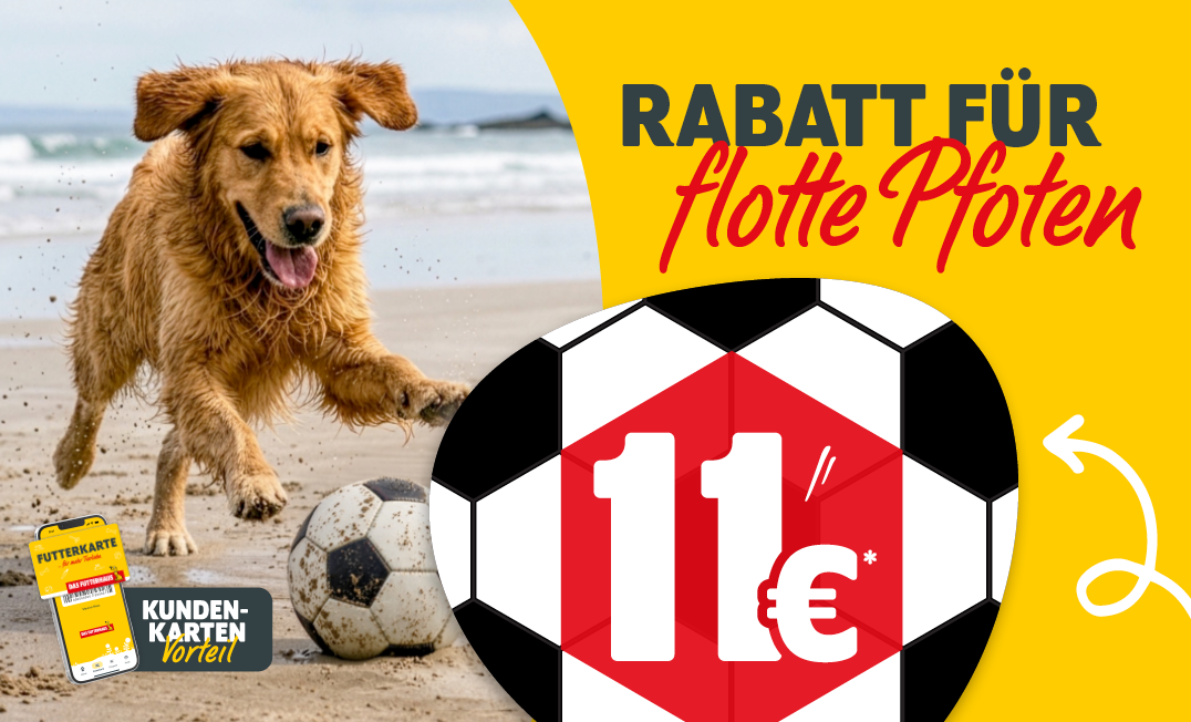 FUTTERKARTEN-Aktion: Rabatt für flotte Pfoten 11€ ab 55€