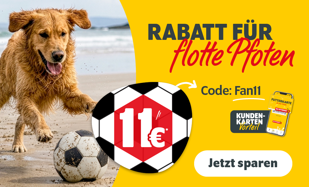 FUTTERKARTEN-Aktion: Rabatt für flotte Pfoten mit Code FAN11