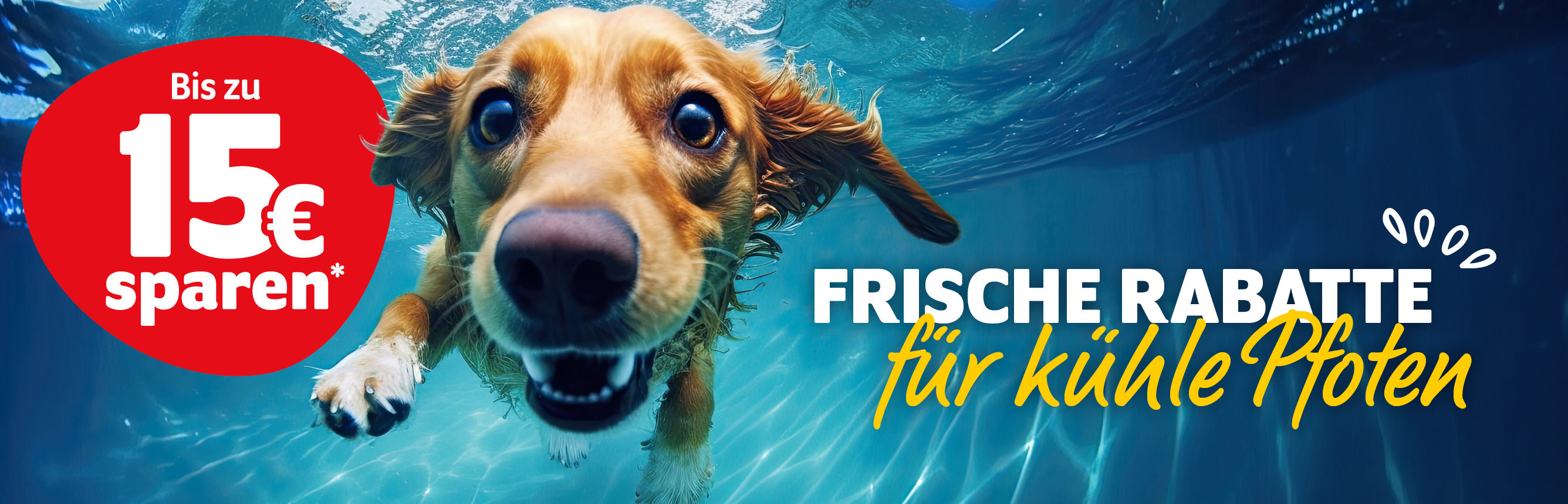 Frische Rabatte für kühle Pfoten: Bis zu 15€ sparen mit Kundenkonto - Einloggen & sparen