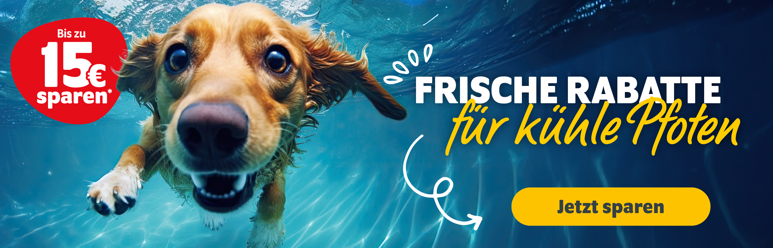 Frische Rabatte für kühle Pfoten: Bis zu 15€ sparen mit Kundenkonto - Jetzt sparen