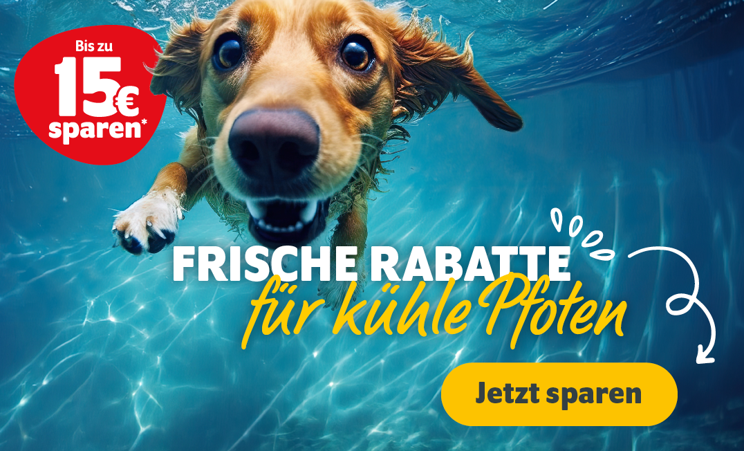 Frische Rabatte für kühle Pfoten: Bis zu 15€ sparen mit Kundenkonto - Jetzt sparen