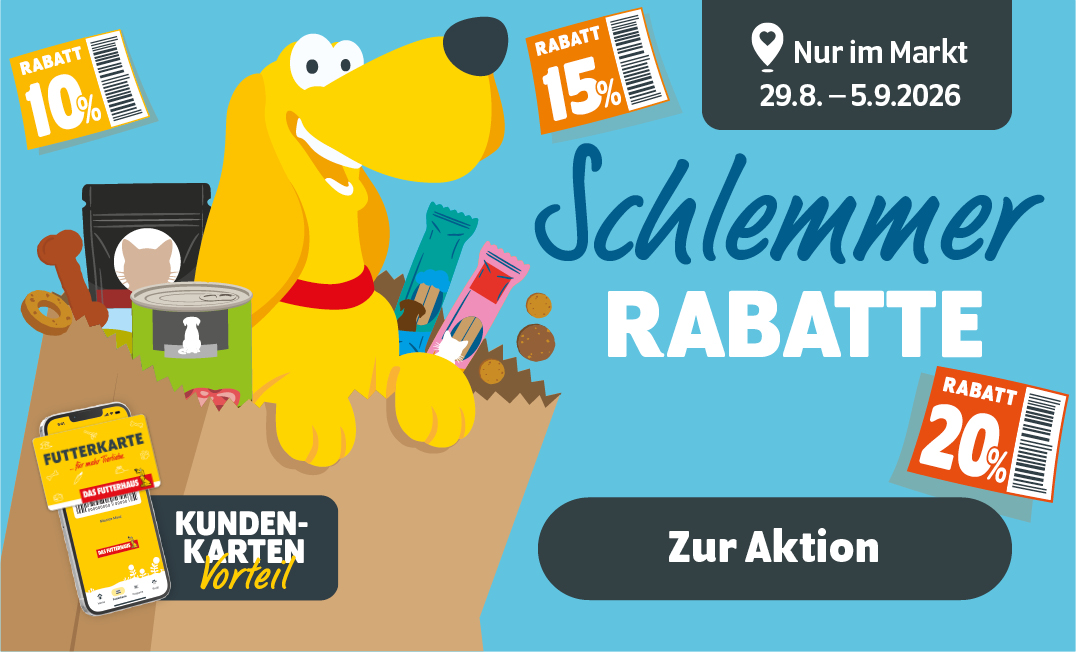 FUTTERKARTEN-Aktion nur im Markt - Bis zu 20% sparen
