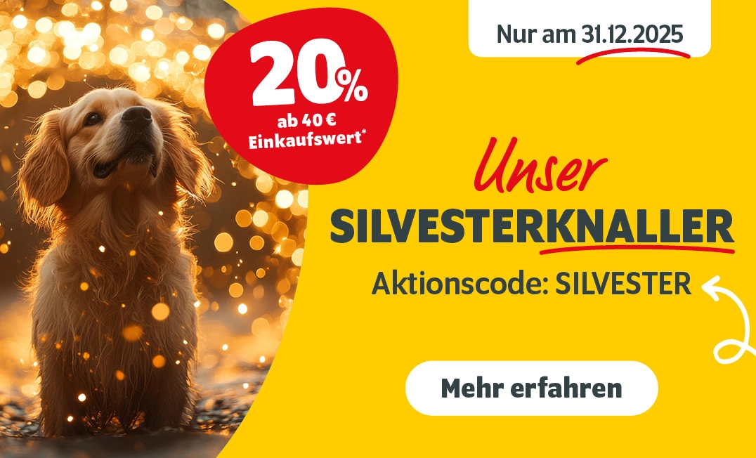 Unser Silvesterknaller - Nur am 31.12.2025 20% ab 40€