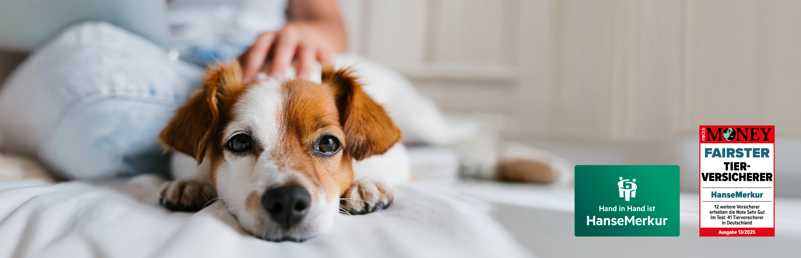 Hunde-Haftpflichtversicherung der HanseMerkur