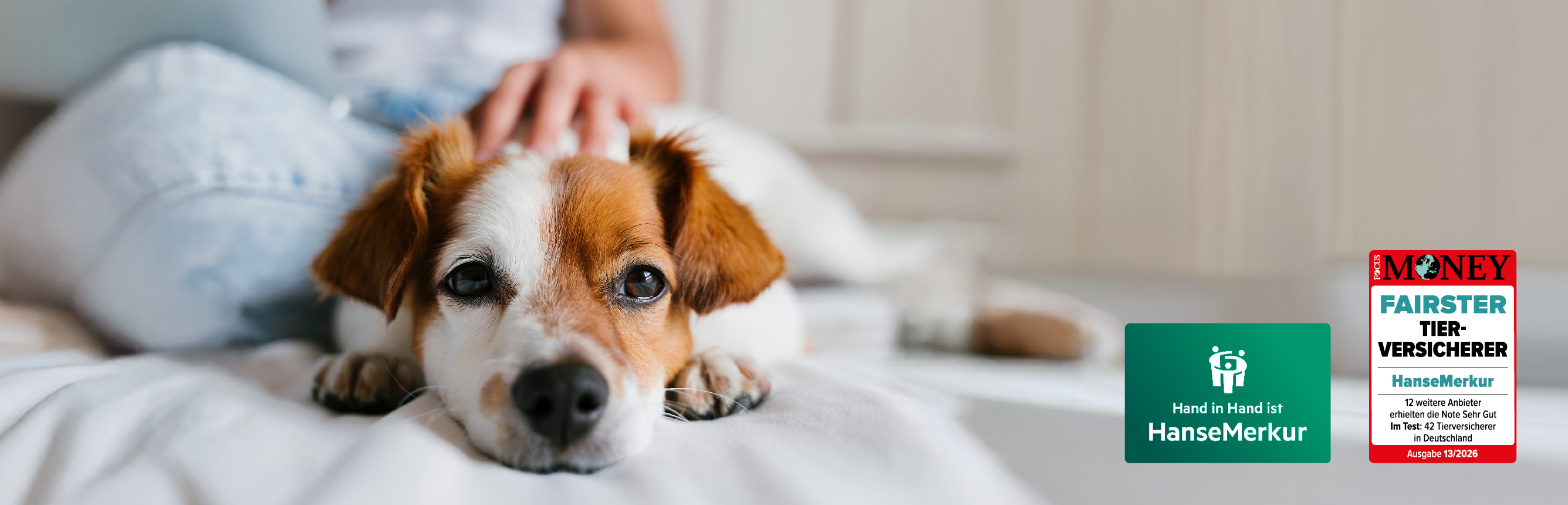 Hunde-Haftpflichtversicherung der HanseMerkur