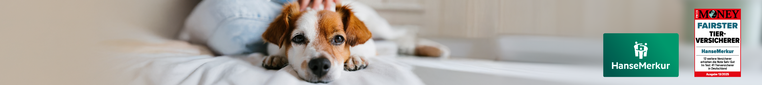 Hunde-Haftpflichtversicherung der HanseMerkur