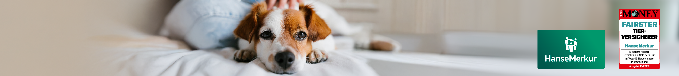 Hunde-Haftpflichtversicherung der HanseMerkur