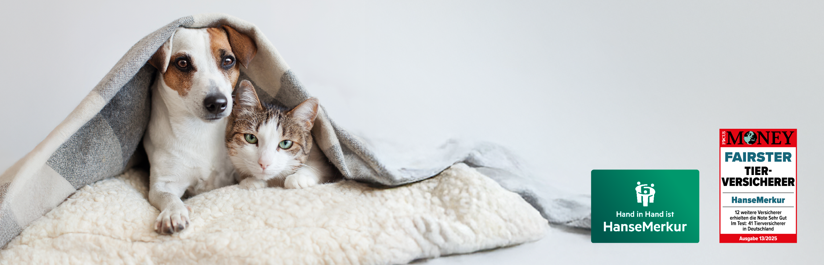 Tier-Krankenversicherung der HanseMerkur für Hunde und Katzen