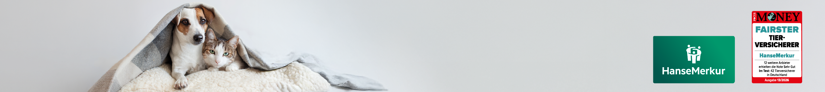 Tier-Krankenversicherung der HanseMerkur für Hunde und Katzen