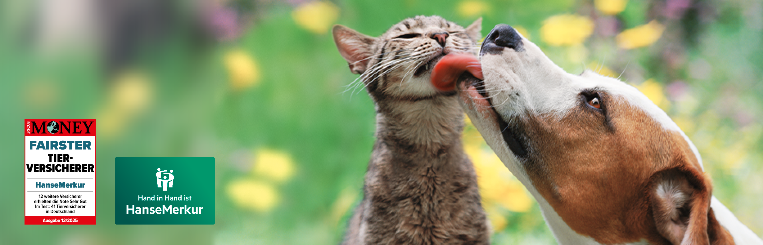 HanseMerkur Tier-OP-Versicherung