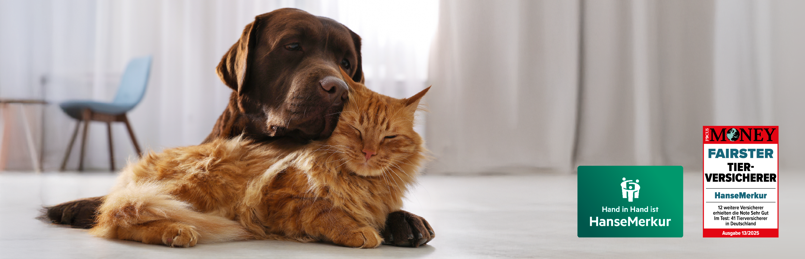 Tier-OP-Versicherung der HanseMerkur für Hunde und Katzen