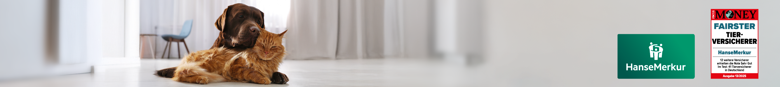 Tier-OP-Versicherung der HanseMerkur für Hunde und Katzen