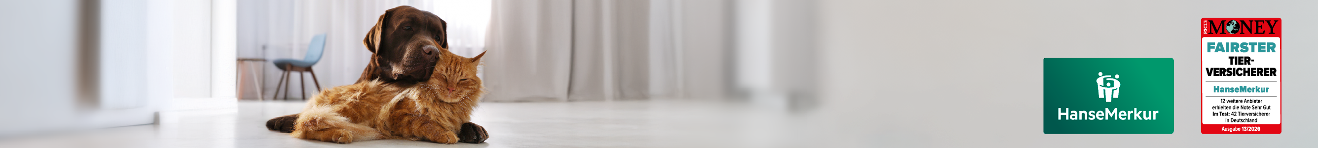 Tier-OP-Versicherung der HanseMerkur für Hunde und Katzen