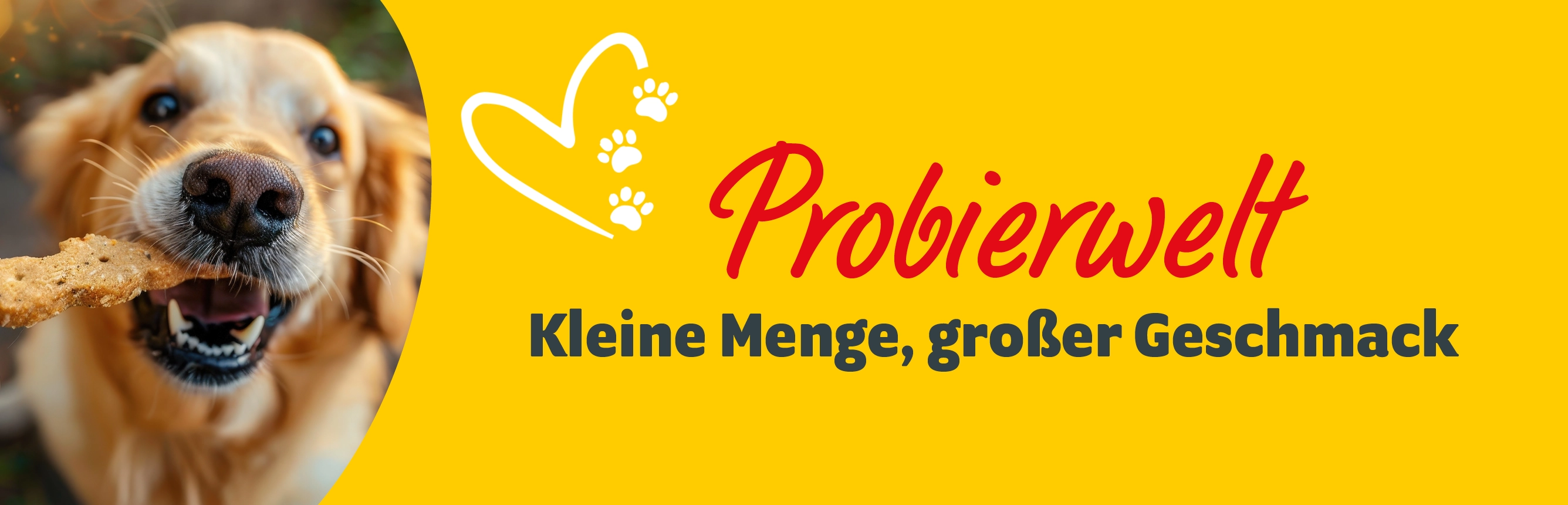 Probierwelt: Kleine Menge, großer Geschmack mit einem Hund, der einen Snack bekommt