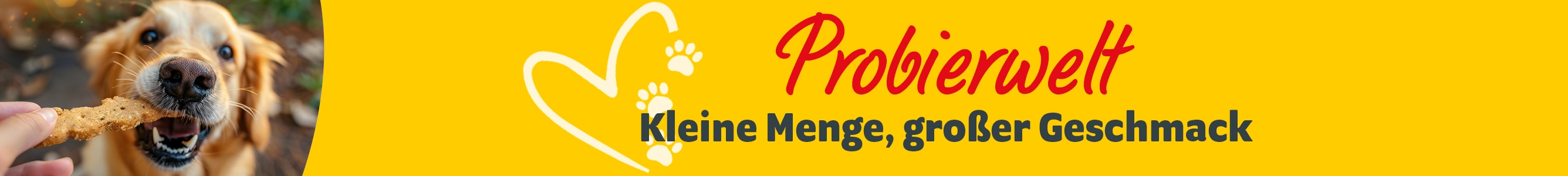 Probierwelt: Kleine Menge, großer Geschmack mit einem Hund, der einen Snack bekommt
