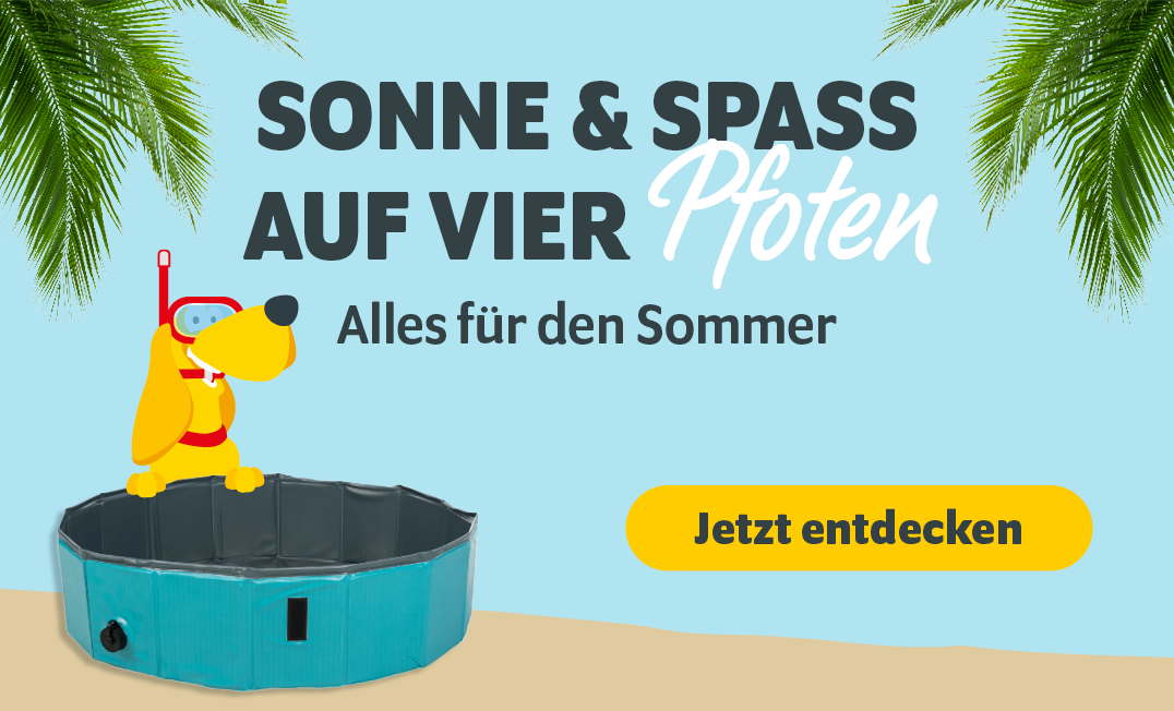 Sonne und Spaß auf vier Pfoten: Alles für den Sommer
