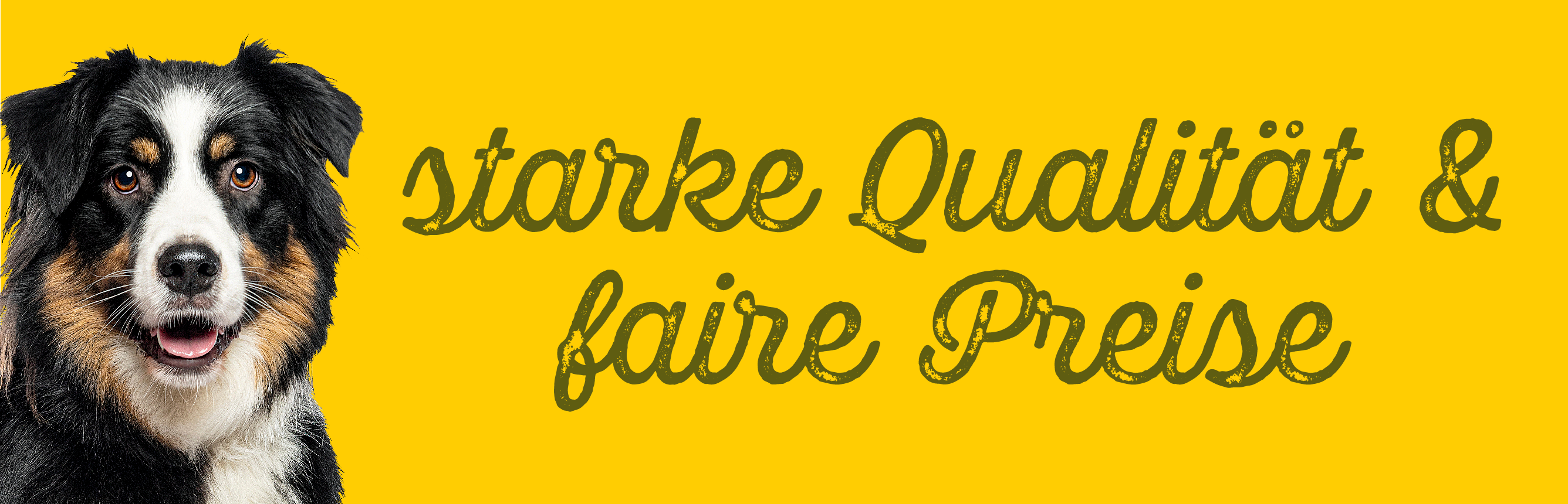 Landeva - starke Qualität und faire Preise