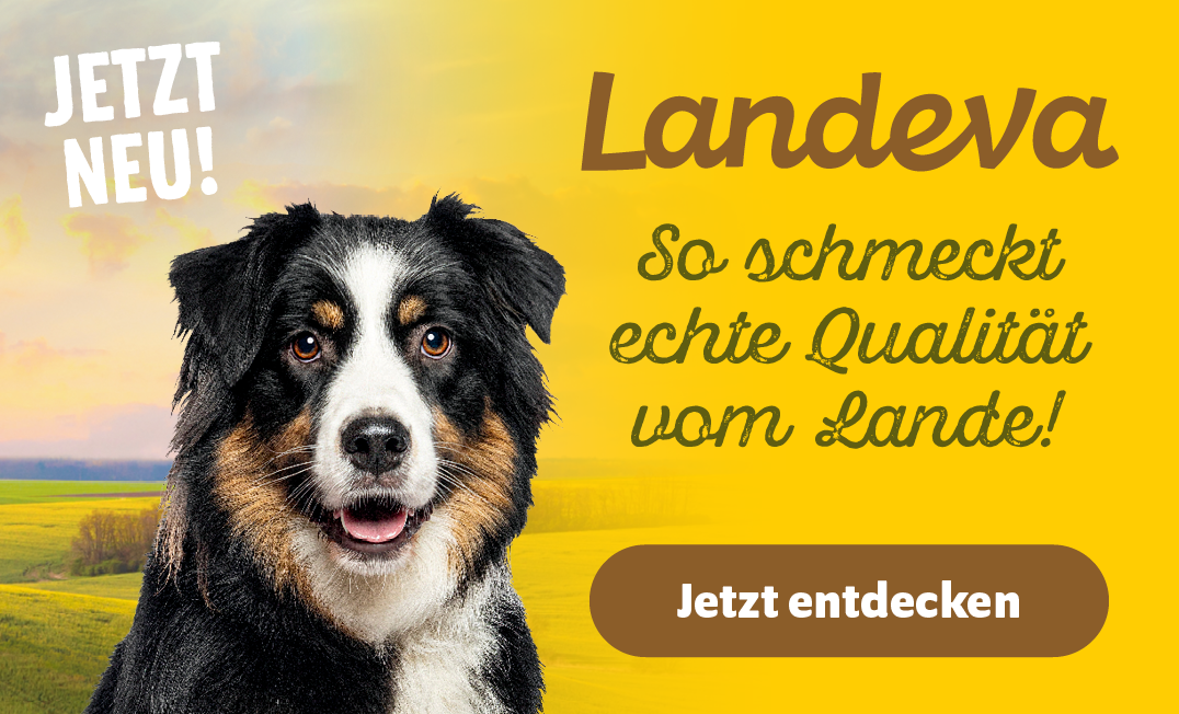 Neu: Landeva - Jetzt entdecken