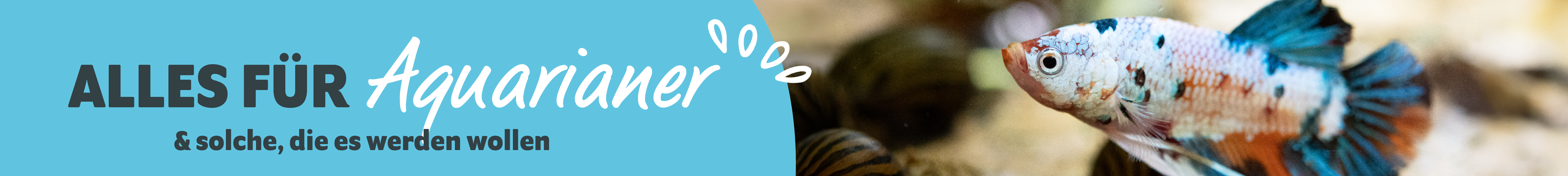 Alles für Aquarianer & solche, die es werden wollen. Ein bunter Fisch symbolisiert das Thema.