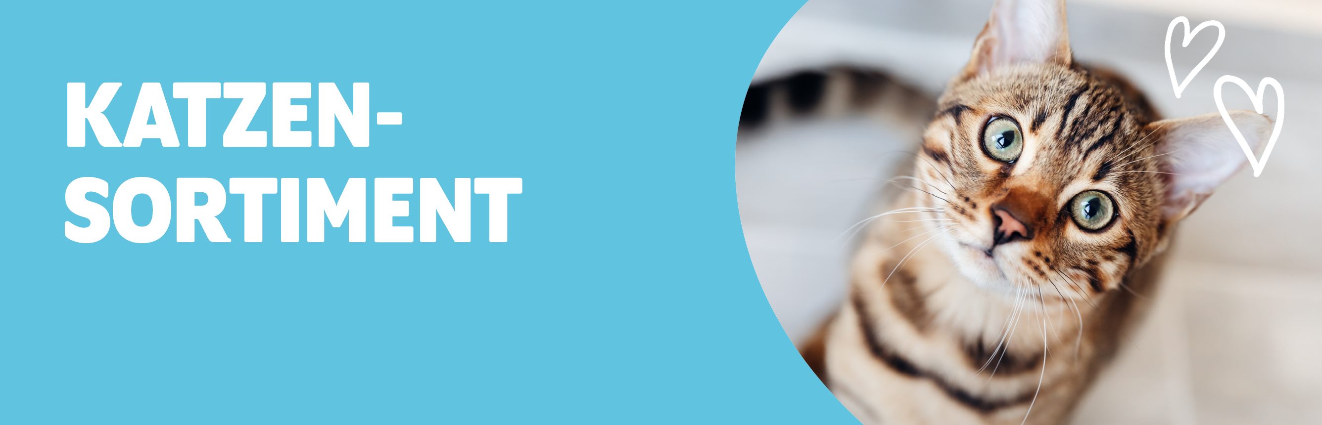 Sortiment Kategorie Katze