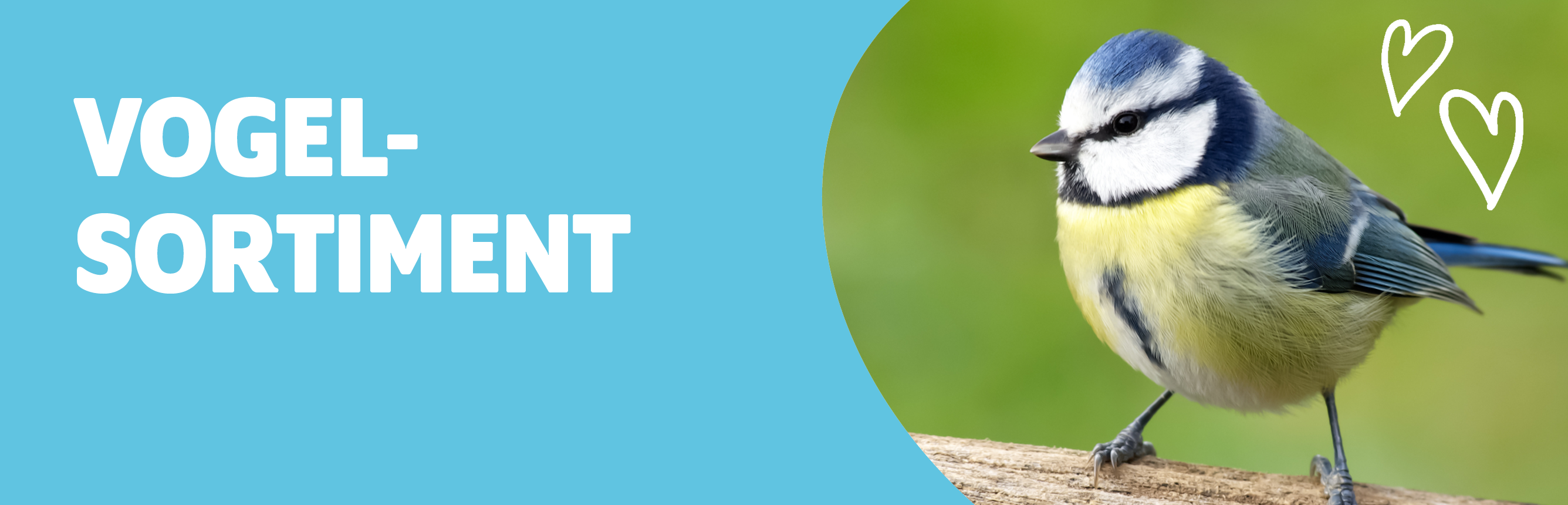 Sortiment Kategorie Vogel