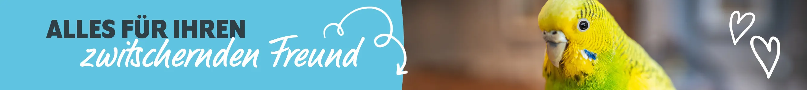 Kategorie Vogel Shop Header