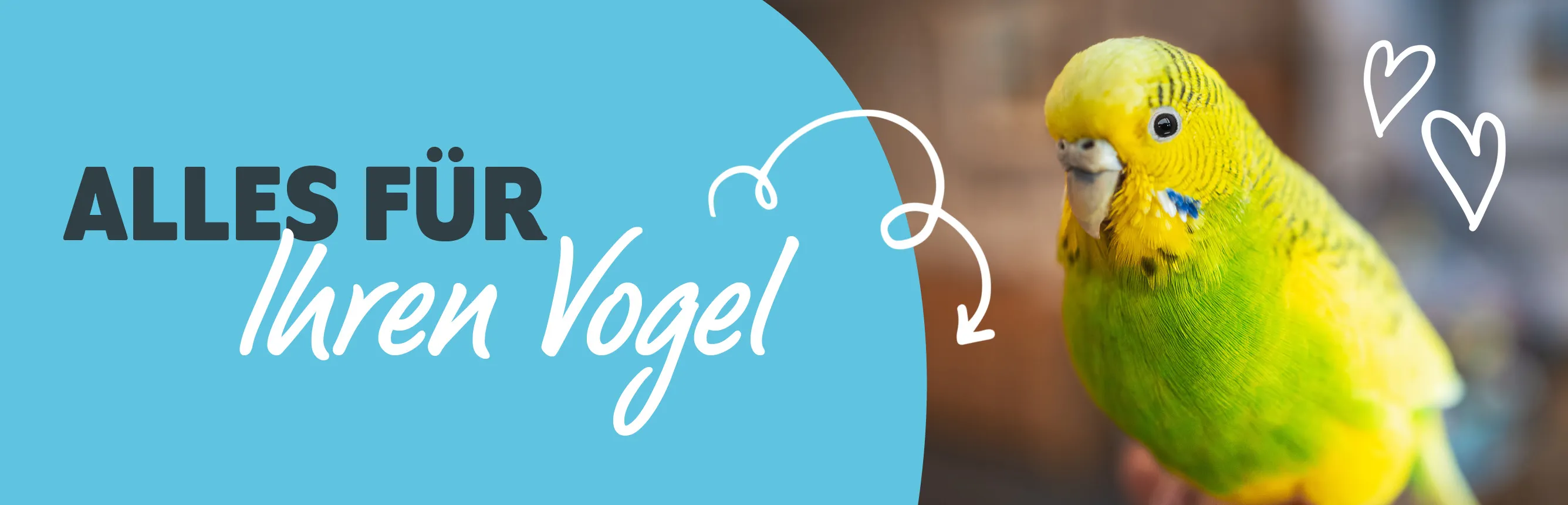 Kategorie Vogel Shop Header