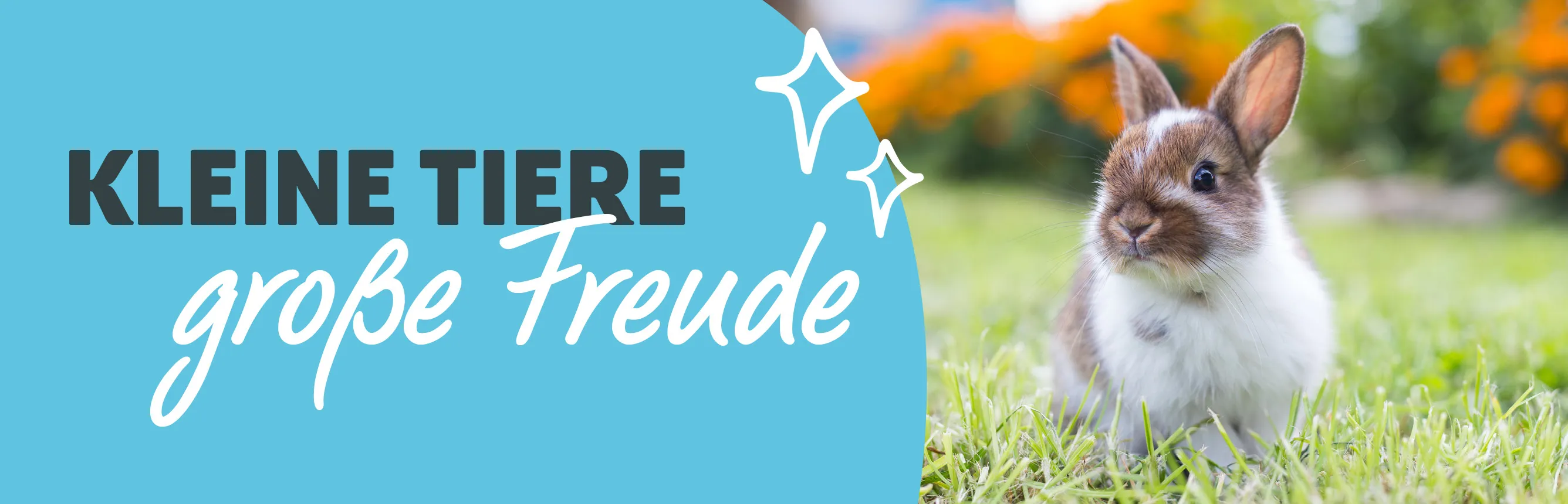 Kleintier Angebote Header