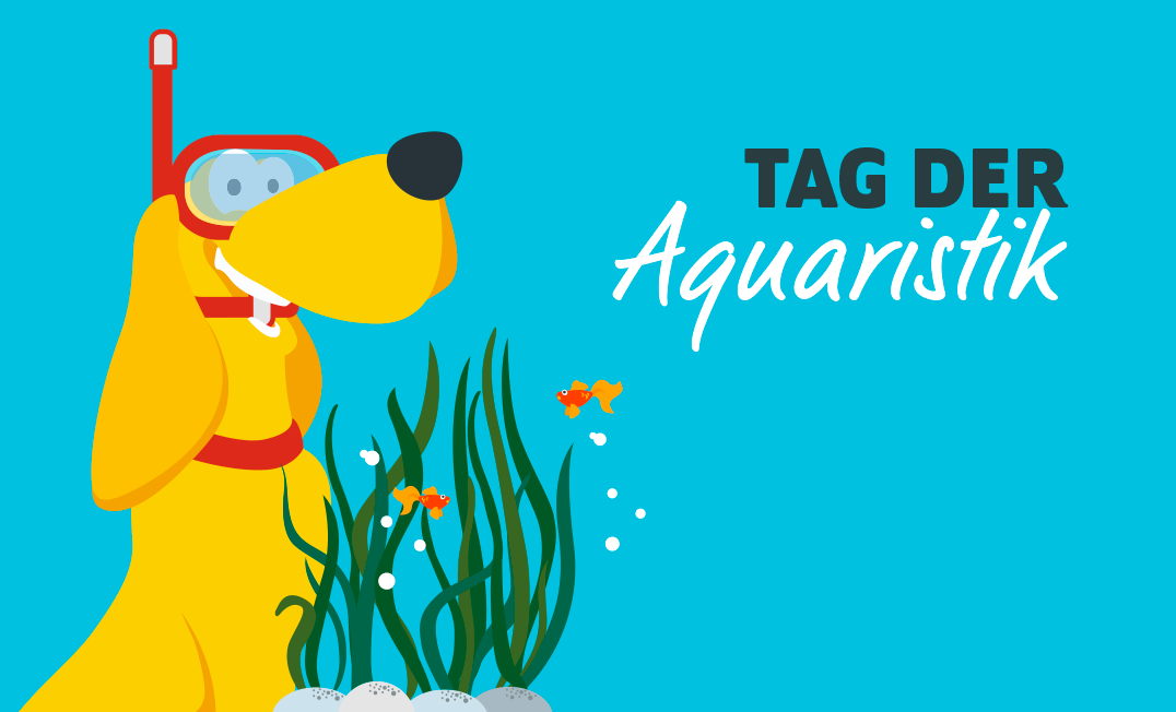 Tag der Aquaristik am 25.4.2026!