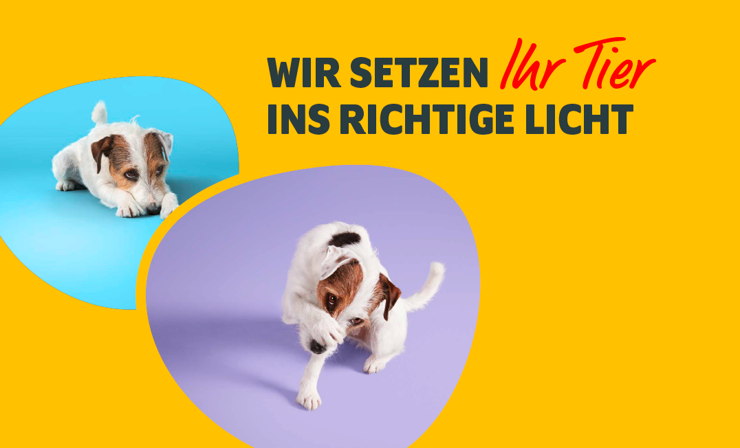 Weihnachtliches Fotoshooting am 6.12.2025!