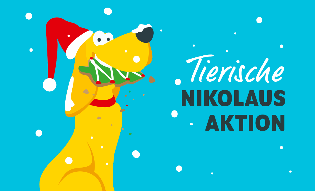 Nikolaus Aktion am 6.12.2025