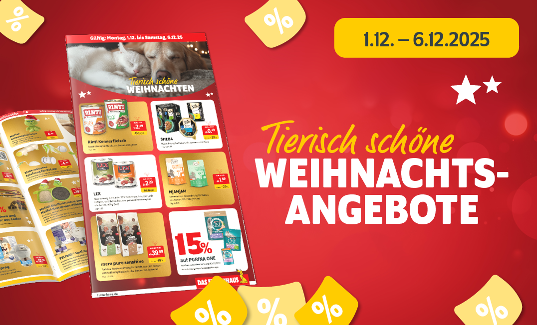 Weihnachtsangebote vom 1.12. - 6.12.2025